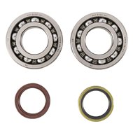 KIT RODAMIENTOS Y RETENES CIGÜEÑAL HOT RODS SUZUKI RMZ 250 10-14