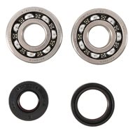 RODAMIENTOS Y RETENES CIGUEÑAL KX 125 88/08