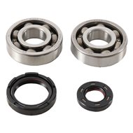 KIT RODAMIENTOS Y RETENES CIGÜEÑAL HOT RODS YAMAHA YZ 250 90-97