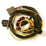 STATOR WITH LIGHT RM-Z250 05-06