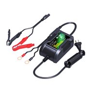 INTELLIGENT SKYRICH CHARGER FOR LITHIUM BATTERIES 12V / 2A