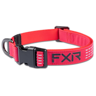 FXR DOG COLLAR COLOUR RAZZ/BLACK