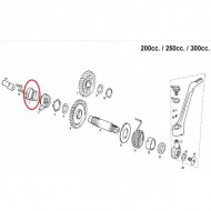 STARTER CLUTCH SPRING GAS GAS