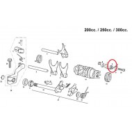 MUELLE FIJADOR DE MARCHAS GAS GAS