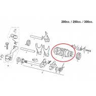 ((OFFER))FULL SHIFT CAM GAS GAS [STOCKCLEARANCE]
