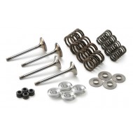 KIT COMPLETO VÁLVULAS KTM 450-501-530 08-14