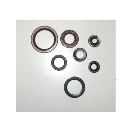 Kit Retentores Motor Gas Gas Ec 200 / 250 / 300 (2001-2013)