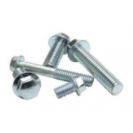4MX METRIC 6X25 SCREW KIT 25 UNITS