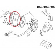 JUNTA TAMPA DE IGNIÇÃO GAS GAS (1996-2004)