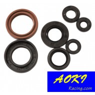 KIT RETENTORES DE MOTOR CR250 AOKI (2005-2007) [LIQUIDACAOESTOQUE]