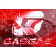 OUTLET GASKET CYLINDER [LIQUIDACIONSTOCK]