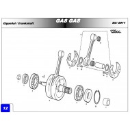 CRANKSHAFT SEAL LEFT SIDE GAS GAS 01-15