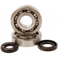 KIT RODAMIENTOS Y RETENES CIGÜEÑAL HOT RODS KAWASAKI KX 250 (2002-2008)