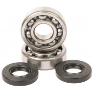 KIT RODAMIENTOS Y RETENES CIGÜEÑAL HOT RODS KAWASAKI KX 100 (1995-2021)