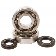 KIT RODAMIENTOS Y RETENES CIGÜEÑAL HOT RODS KAWASAKI KDX 250 (1991-1994)