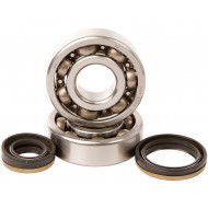 KIT DE ROLAMENTOS E RETENTORES DE VIRABREQUIM HOT RODS SUZUKI RM 125 (1999-2007)