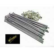 JUEGO DE RADIOS PLATA Y CABECILLAS INOX PARA RUEDA TRASERA 18'' CON BUJES INMOTION