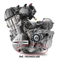 SHIFTING LEVER KTM 4T 250/350 (2017-2019) VIEW MODELS