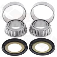 KIT RODAMIENTOS DIRECCION PROX SHERCO X-RIDE 125 (2013-2016)