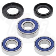 KIT REPARACIÓN RUEDA TRASERA PROX GAS GAS MC 250 (1999-2002)