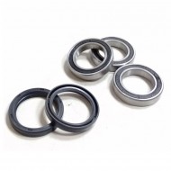 KIT REPARACIÓN BUJE TRASERO BUJE EVO2