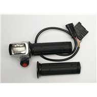 ACELERADOR ELECTRICO NIVEL CARGA WP.(TPR) 2017