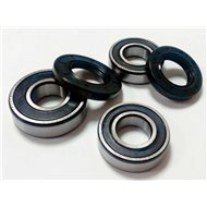 KIT REPARACIÓN RUEDA TRASERA SKF GAS GAS EC 250 (1996-2002)