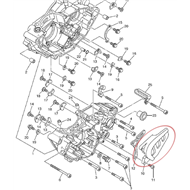 PROTECTOR PIÑON TMDESIGN HONDA CRF 250R (2004-2009) 