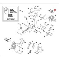 BETA REAR PROTECTION