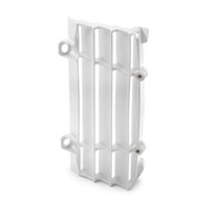 PROTECCIÓN DE RADIADOR GASGAS EC 250/350 F (2021)