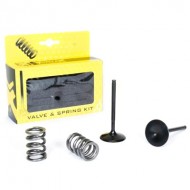 KIT VALVULAS DE ADMISION DE ACERO PROX SUZUKI LT-R 450 (2006-2011)