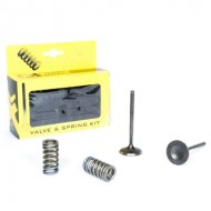 KIT VALVULAS DE ADMISION DE ACERO PROX HONDA CRF 250 R (2008-2009)
