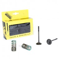 KIT VALVULAS DE ESCAPE DE ACERO PROX GAS GAS EC 250 F (2010-2015)