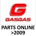 DESPESAS ONLINE GAS GAS (A PARTIR DE 2010)