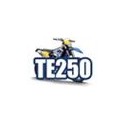 TE 250 (EU)