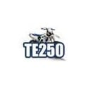 TE 250 (EU)