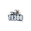 TE 300 (EU)