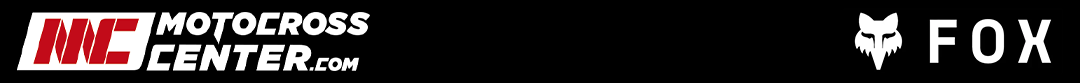 Banner Fox