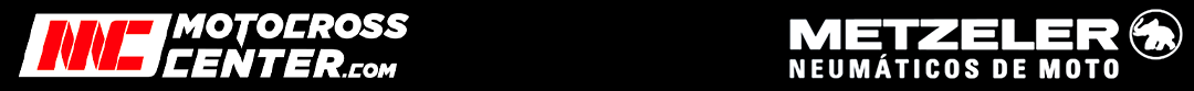 Logo da Metzeler