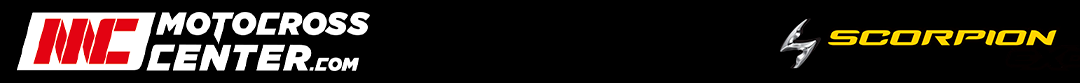 Banner Scorpion